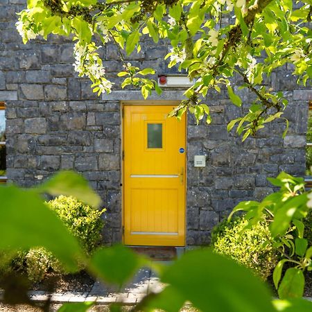 Burren Court Lodge Ballyvaughan Ngoại thất bức ảnh